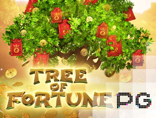 booi casino 50 free spins no deposit