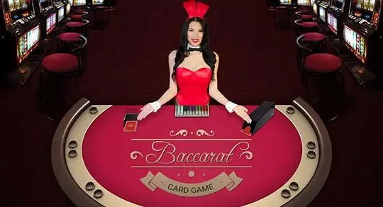 bodog site